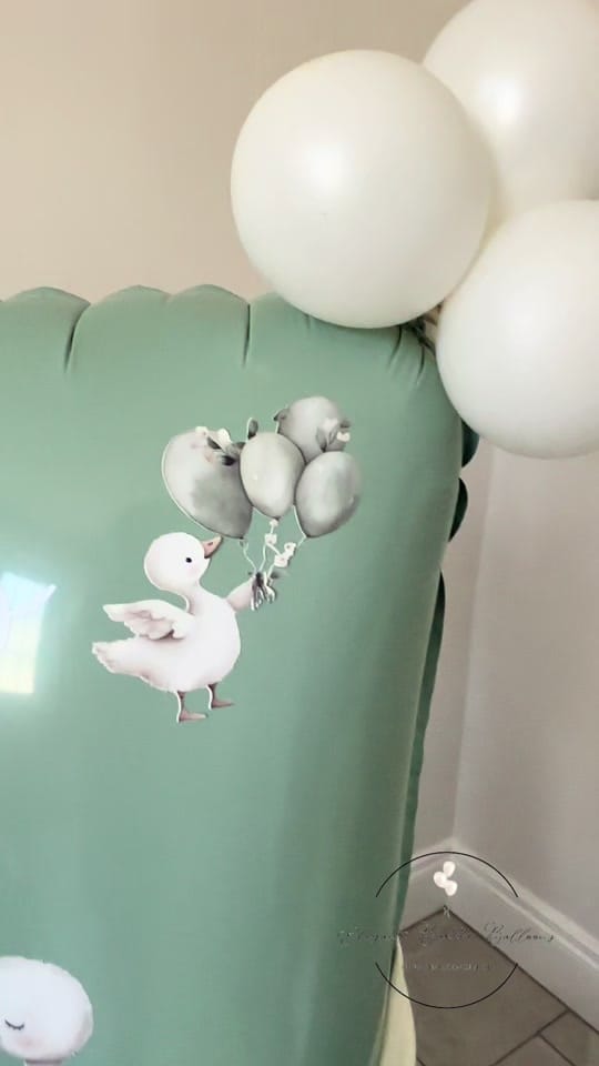 Post 5 by Elegant Bubble Balloons on TikTok (video)