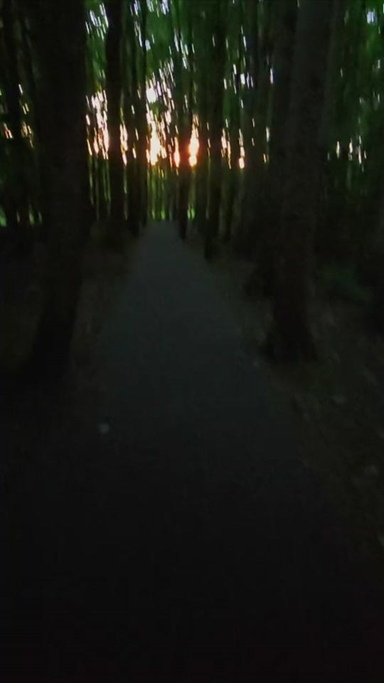 Post 3 by Kevin 🏴󠁧󠁢󠁳󠁣󠁴󠁿 on TikTok (video)
