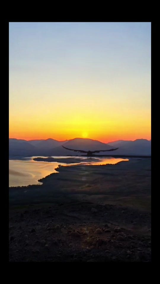 Post 7 by Kevin 🏴󠁧󠁢󠁳󠁣󠁴󠁿 on TikTok (video)