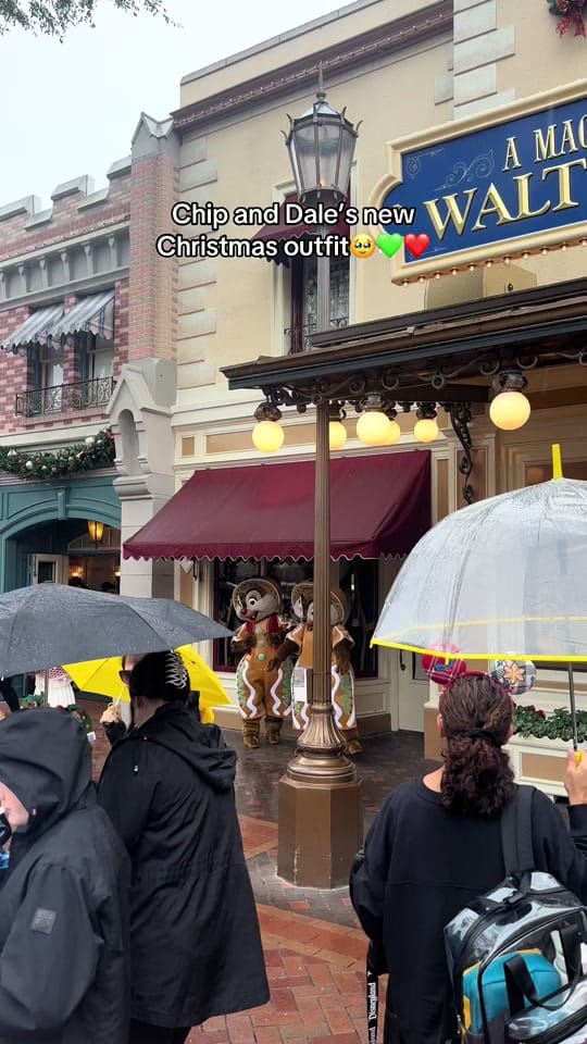Post 6 by Kau’i on TikTok (video)