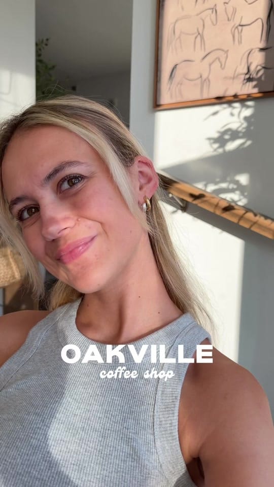 Post 5 by Nicole Zwolan Sterk on TikTok (video)