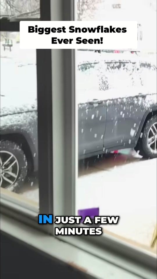 Post 1 by Snow Dogs Vlogs on TikTok (video)