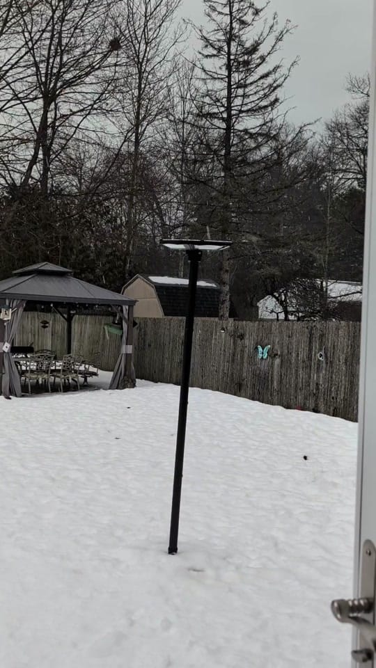 Post 2 by Snow Dogs Vlogs on TikTok (video)