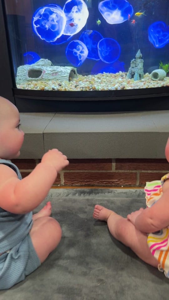 Post 4 by Lyns | Twin Mom on TikTok (video)
