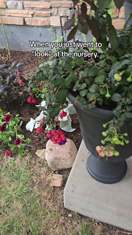 Post 5 by Elevated Metaphysical on TikTok (video)