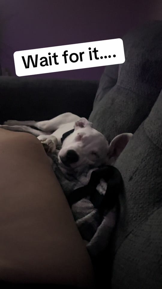 Post 5 by Jeanetta on TikTok (video)