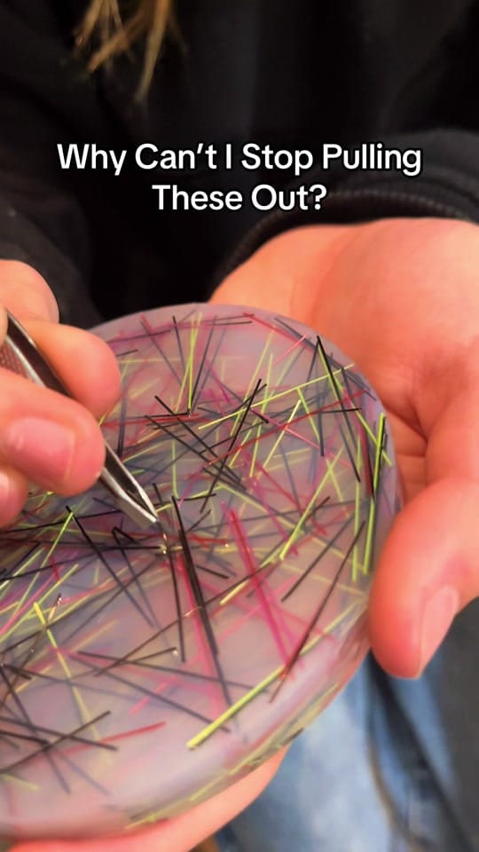 Post 7 by ꩇׁׅ݊ꫀׁׅܻᧁׁɑׁׅ֮ꪀׁׅ on TikTok (video)