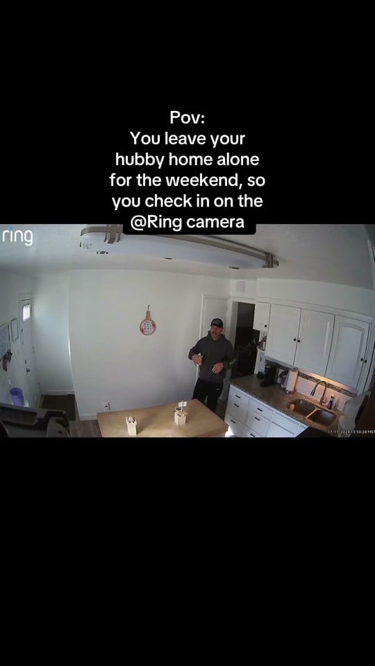 Post 8 by Ryan Law on TikTok (video)