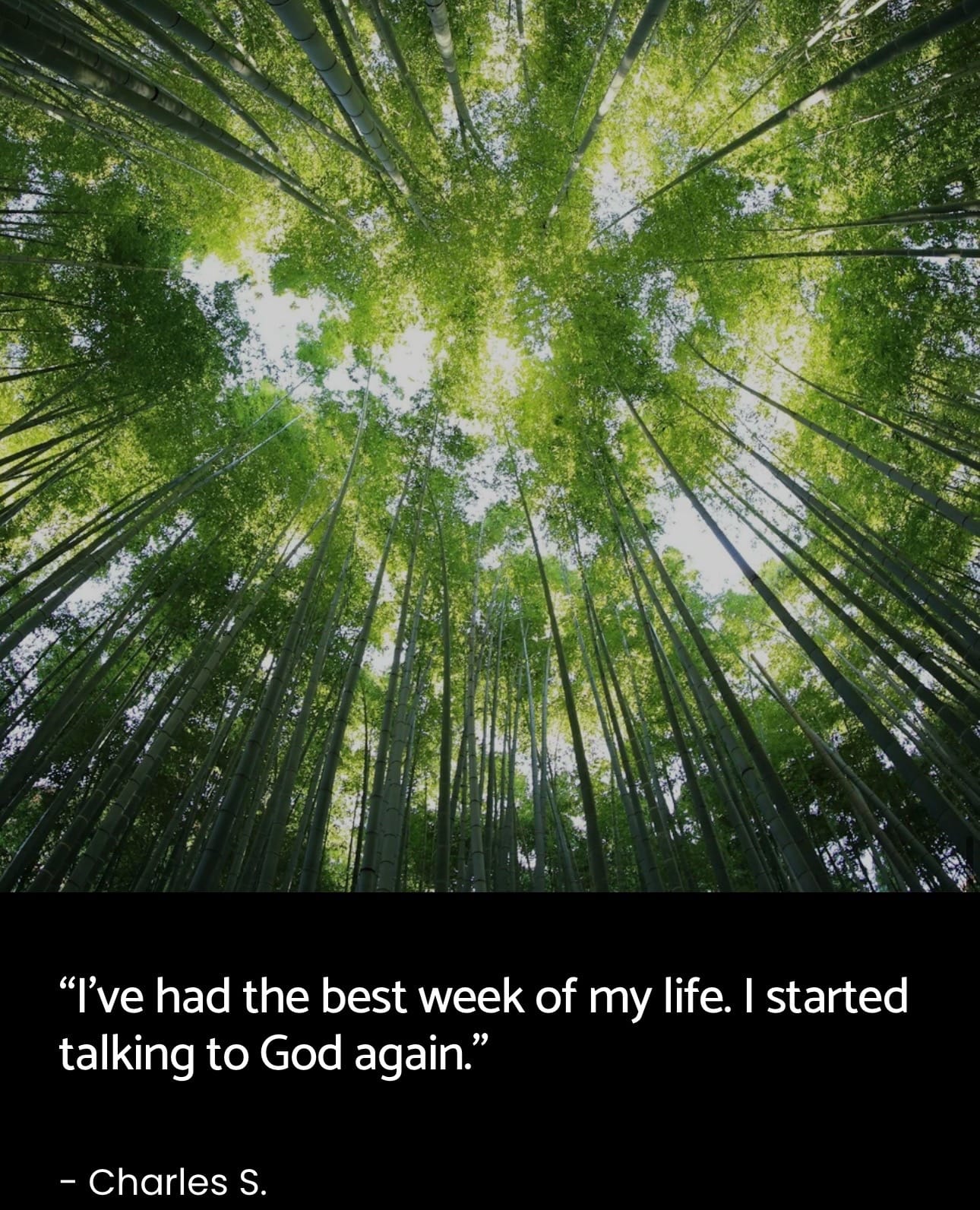 Post 8 by Yarrow & Sage on TikTok (video)