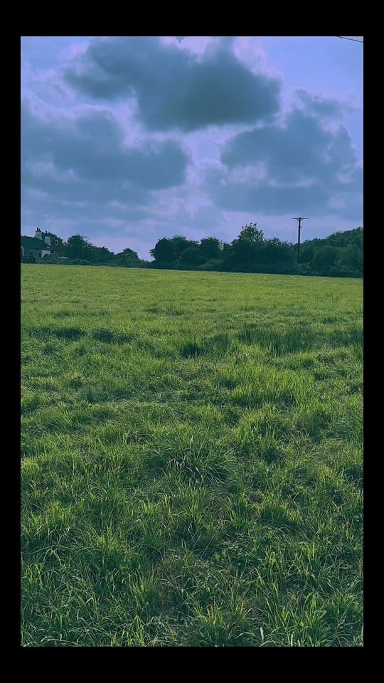 Post 7 by Sammie 🌸✨ on TikTok (video)