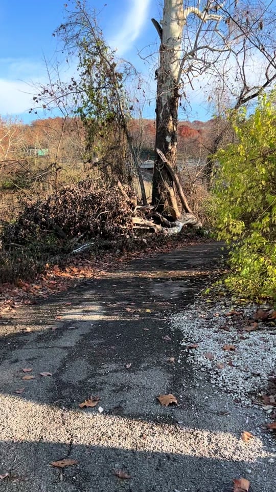 Post 8 by CMK Adventures on TikTok (video)