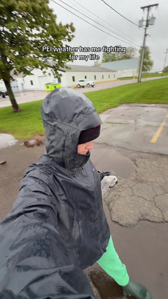 Post 6 by Caleigh McAulay on TikTok (video)