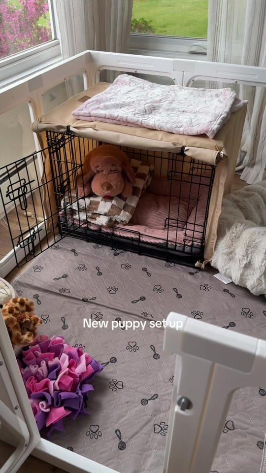 Post 1 by Caleigh McAulay on TikTok (video)