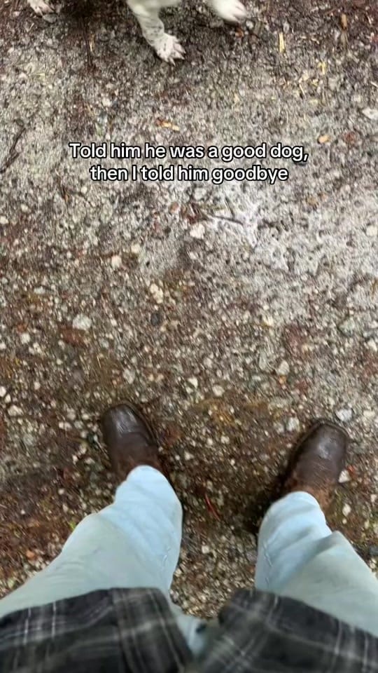 Post 1 by JT™️ on TikTok (video)