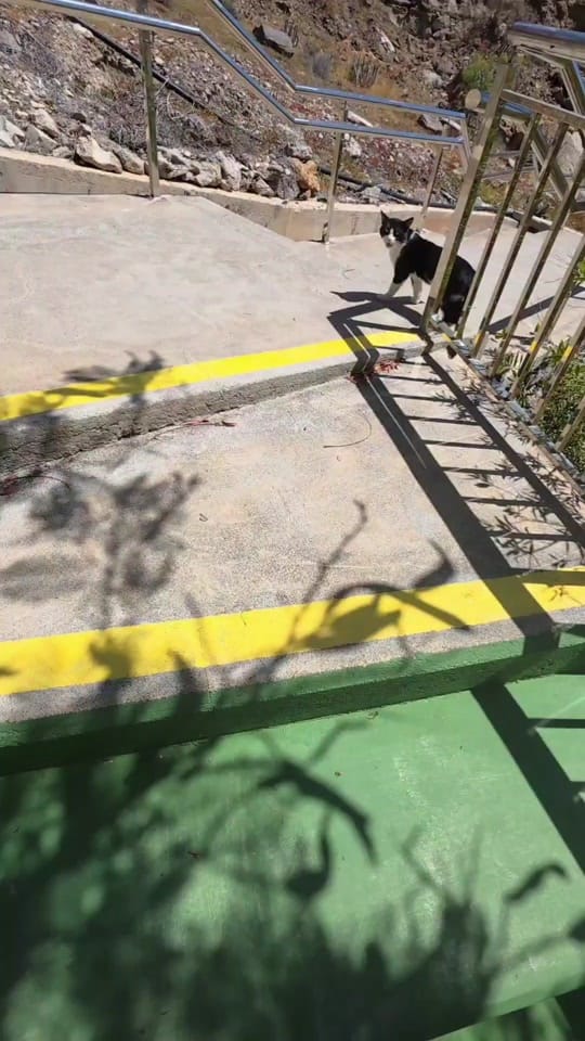 Post 4 by MICHELLE BETTY|UGC🎀 on TikTok (video)