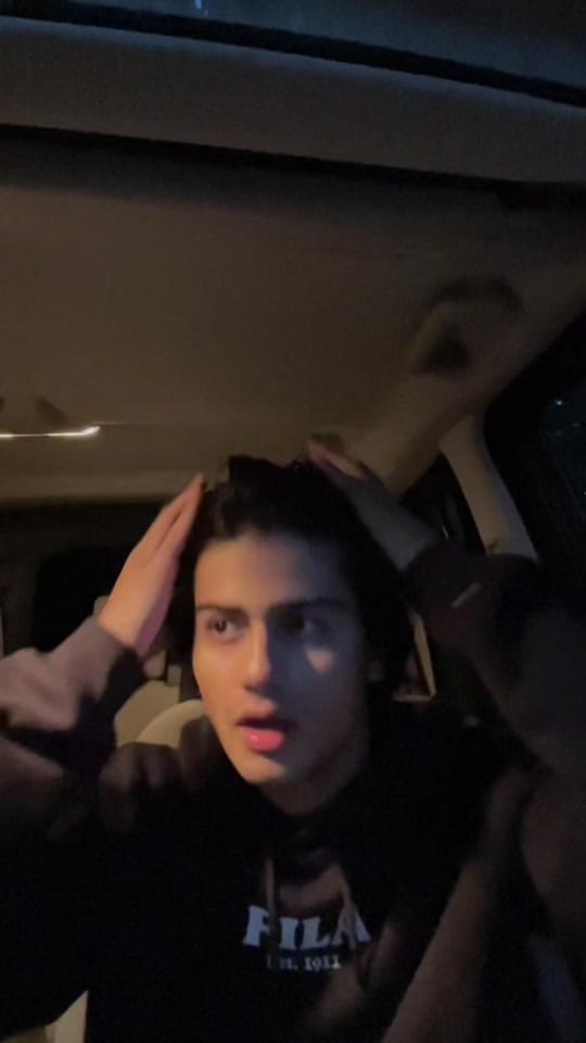 Post 9 by Ari Mediratta on TikTok (video)