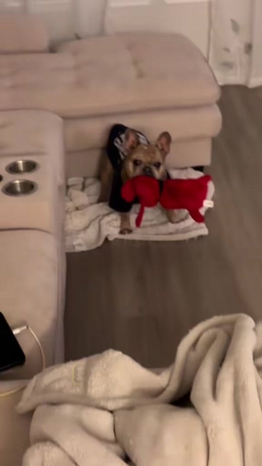 Post 7 by 💎Jorgeortiz(♏️)💎. 👉🏻👈🏻 on TikTok (video)