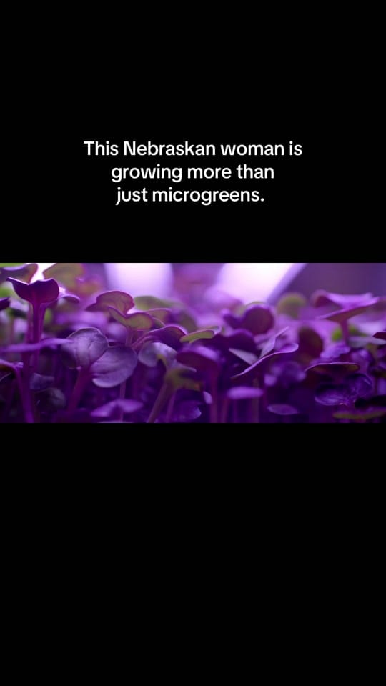 Post 8 by Good Life Network on TikTok (video)