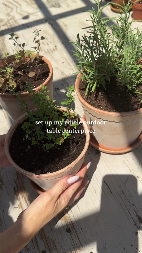 Post 4 by REENA | becoming mama 🦢 on TikTok (video)