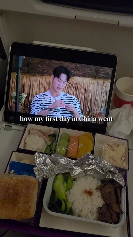 Post 6 by Alice🌻 on TikTok (video)
