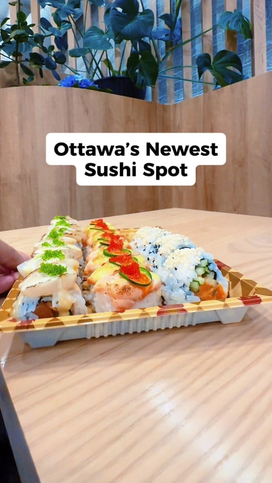 Post 4 by My Ottawa on TikTok (video)
