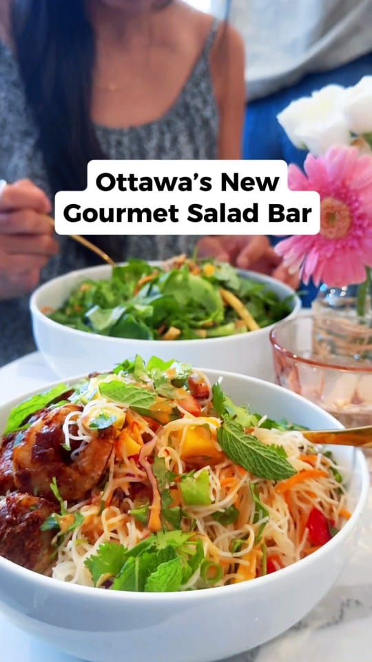 Post 8 by My Ottawa on TikTok (video)