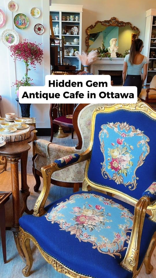 Post 7 by My Ottawa on TikTok (video)