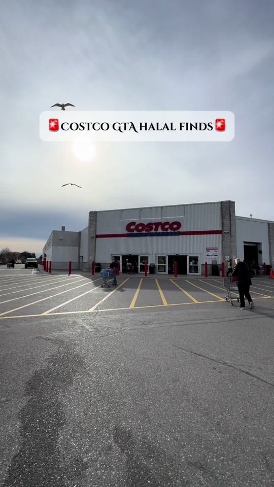 Post 9 by Denez & Inzi | Toronto 🇨🇦 on TikTok (video)