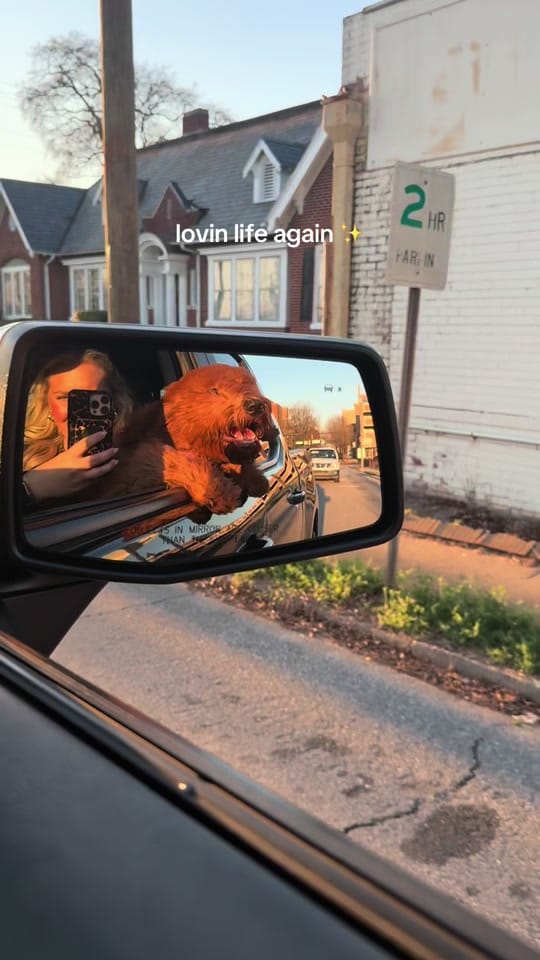Post 1 by molly walters on TikTok (video)