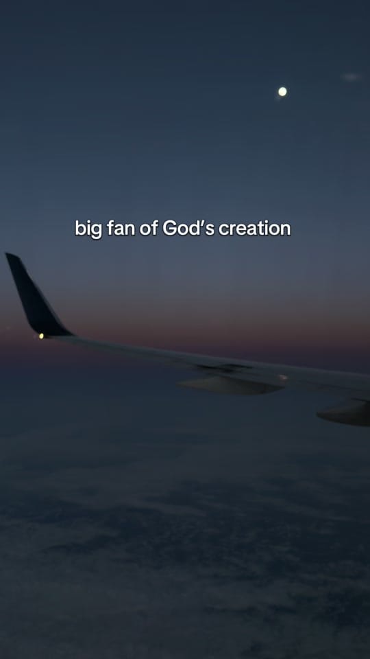 Post 4 by molly walters on TikTok (video)