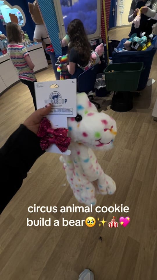 Post 3 by molly walters on TikTok (video)