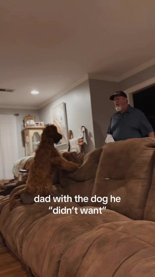 Post 6 by molly walters on TikTok (video)
