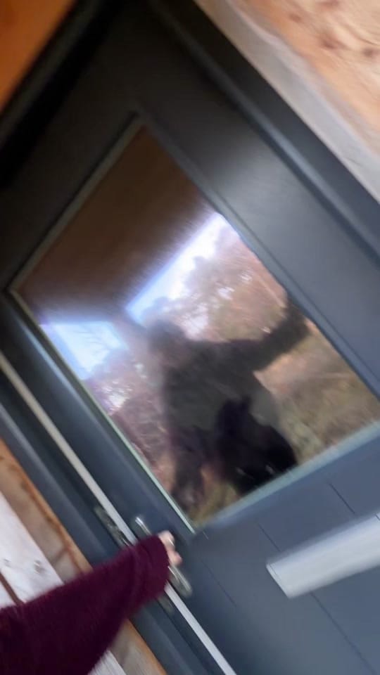 Post 7 by elle | lifeonrum on TikTok (video)