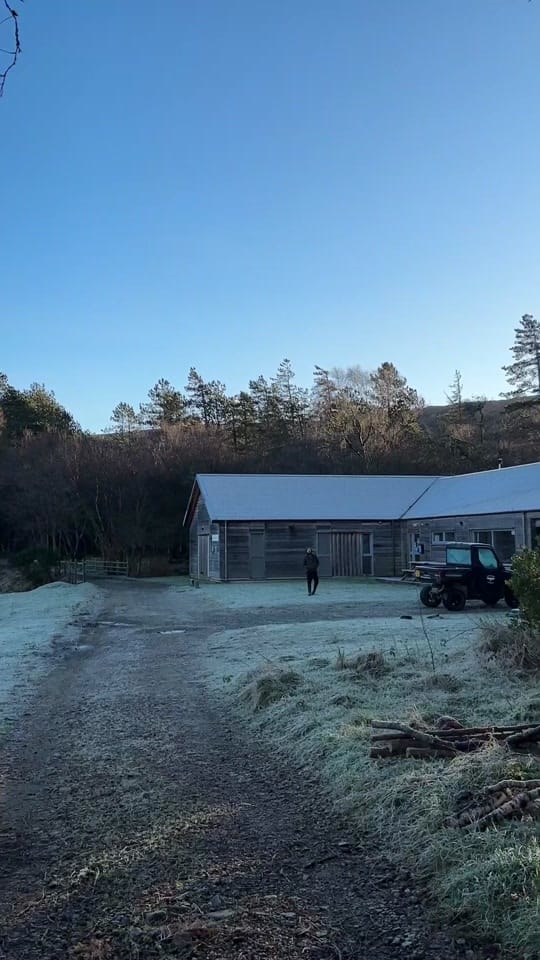 Post 10 by elle | lifeonrum on TikTok (video)