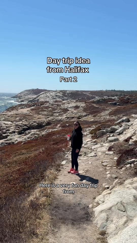 Post 3 by Grace McNulty on TikTok (video)