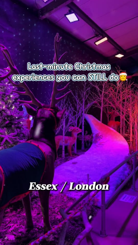 Post 6 by essex_mama_adventures on TikTok (video)