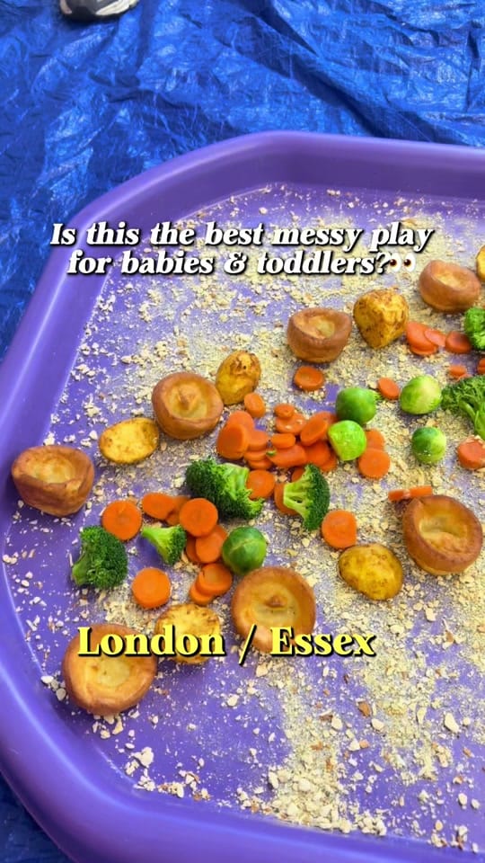 Post 4 by essex_mama_adventures on TikTok (video)