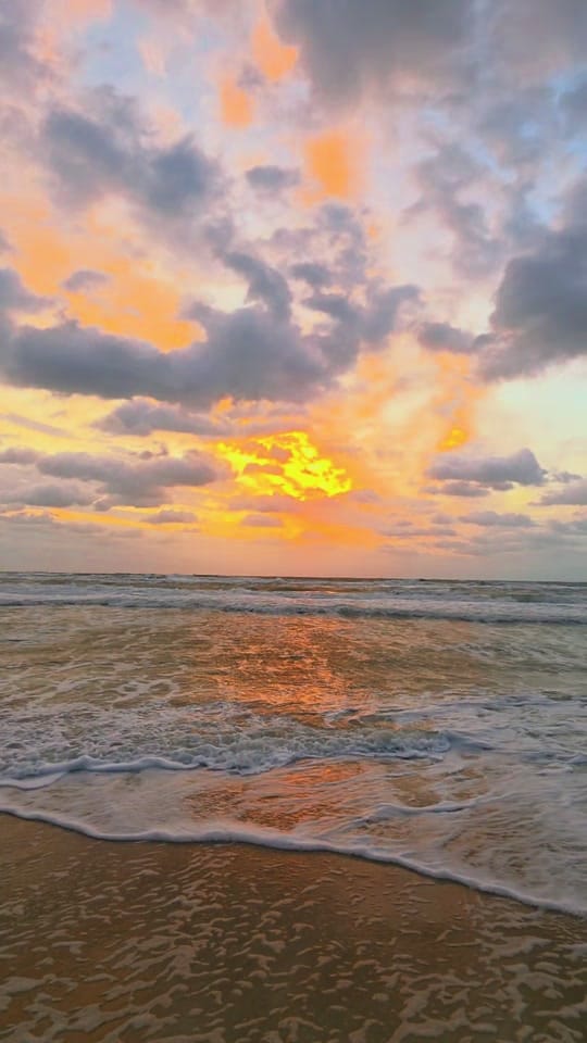 Post 5 by Baby Blue Eyes 🐳🌊🐬🌞 on TikTok (video)