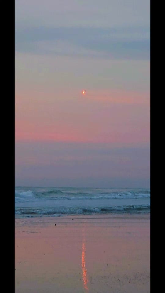 Post 6 by Baby Blue Eyes 🐳🌊🐬🌞 on TikTok (video)