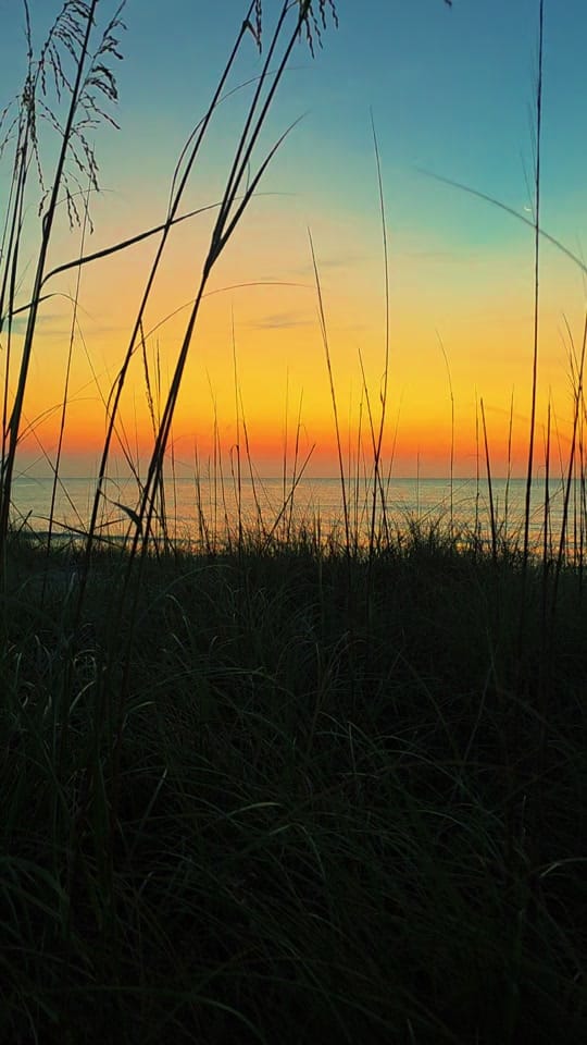 Post 1 by Baby Blue Eyes 🐳🌊🐬🌞 on TikTok (video)