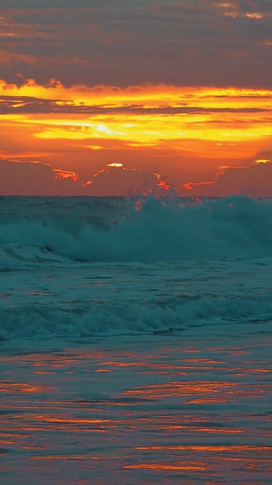 Post 10 by Baby Blue Eyes 🐳🌊🐬🌞 on TikTok (video)