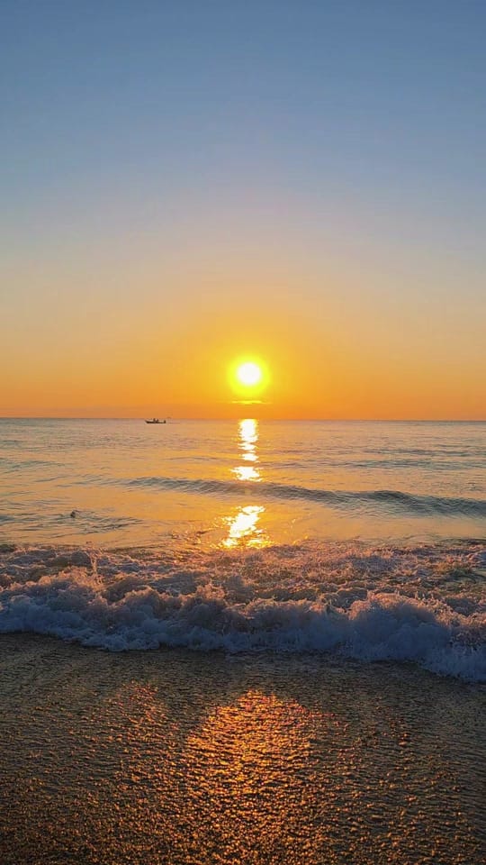 Post 2 by Baby Blue Eyes 🐳🌊🐬🌞 on TikTok (video)