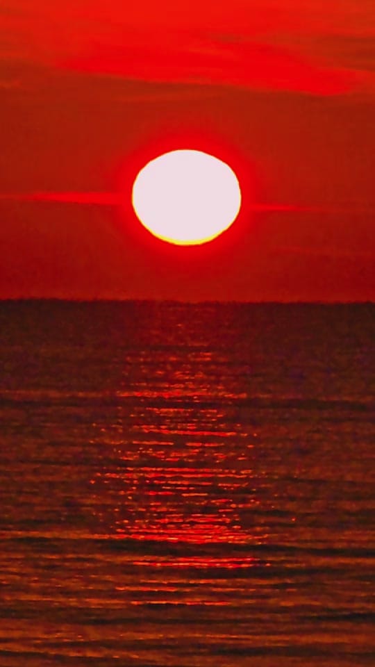 Post 9 by Baby Blue Eyes 🐳🌊🐬🌞 on TikTok (video)