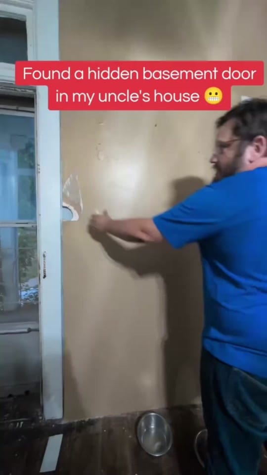 Post 3 by Dev Bajwa on TikTok (video)
