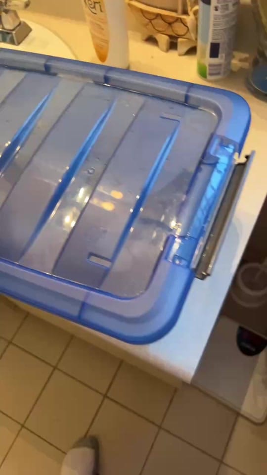 Post 1 by moonsnakesmontreal on TikTok (video)