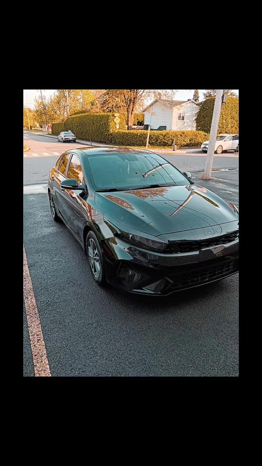 Post 3 by moonsnakesmontreal on TikTok (video)