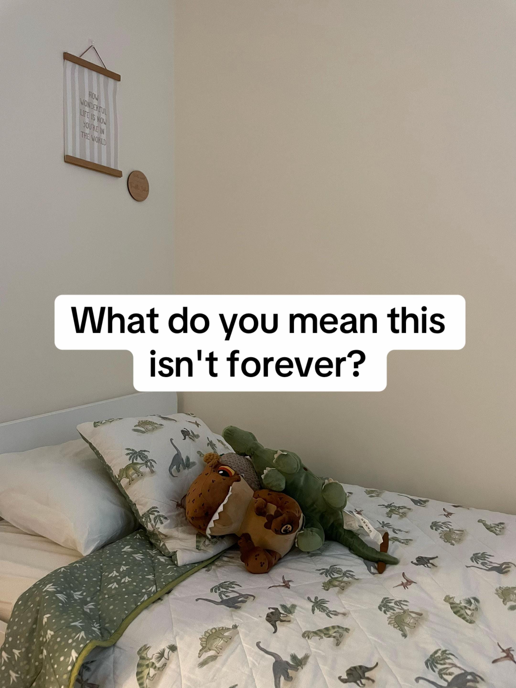 Post 4 by Ruby 🤍✨ Freddie’s Mamma 👦🏼 on TikTok (video)