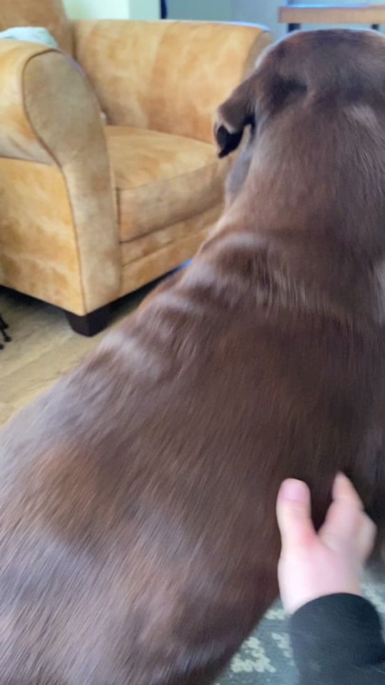 Post 10 by Ruby 🤍✨ Freddie’s Mamma 👦🏼 on TikTok (video)