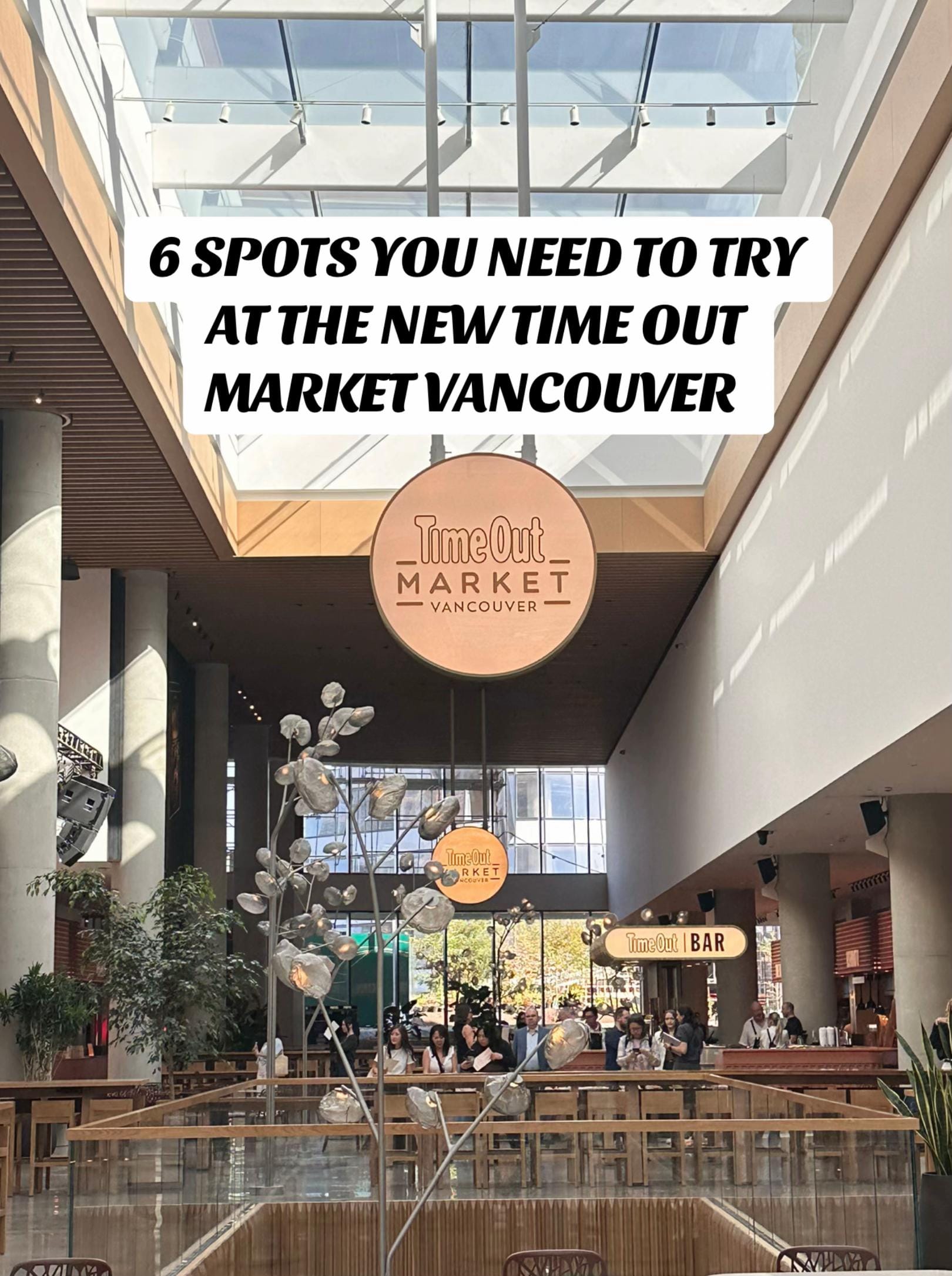 Post 4 by purplechives on TikTok (video)