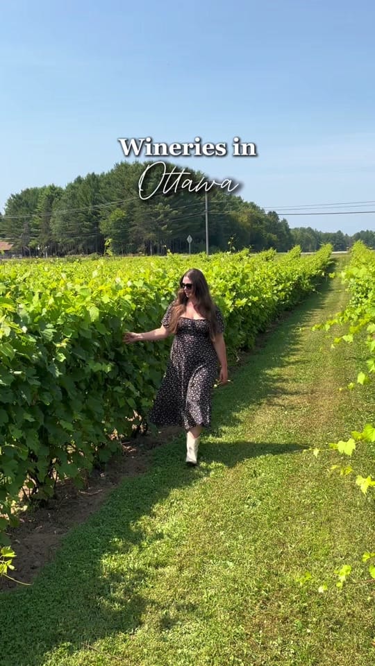 Post 4 by Elser | Ottawa & Lifestyle on TikTok (video)